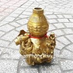 d205-ho-lo-bat-tien-lon