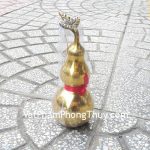 d207-ho-lo-dong-trung-1