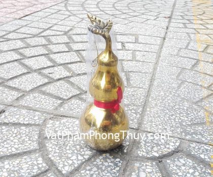 d207-ho-lo-dong-trung-1