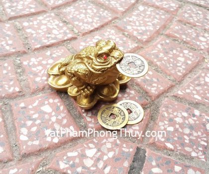 d212-thiem-thu-dong-nho