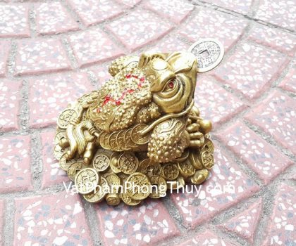 d213-thiem-thu-dong-trung-1