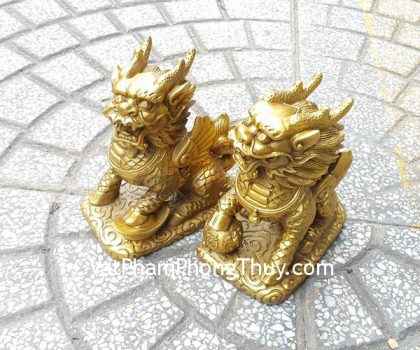 d220-ky-lan-dong-trung-2