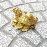 d230-long-quy-cong-con-nho-2