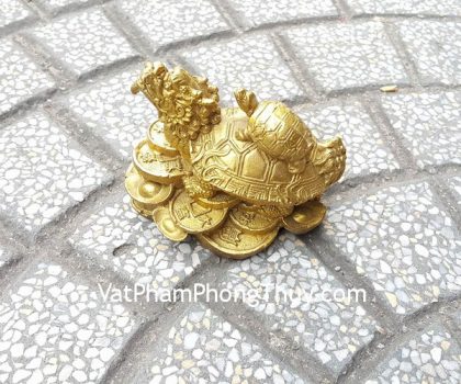 d230-long-quy-cong-con-nho-2