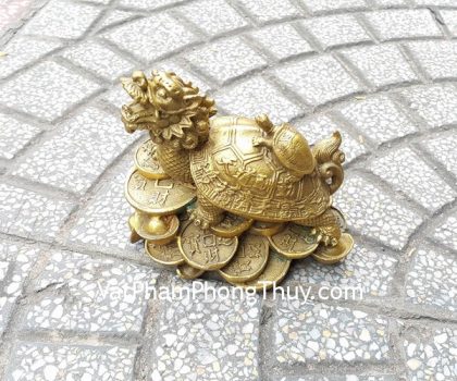 d232-long-quy-cong-con-lon-2