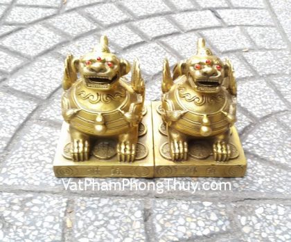 d234-ty-huu-dong-ngoi-1