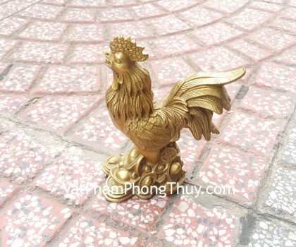 d254-ga-dong-dinh-vang-2