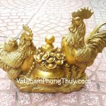 d255-ga-dong-tu-bao-lon-2