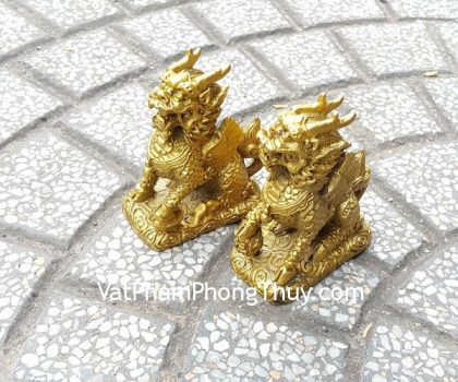 d256-ky-lan-dong-nho-2