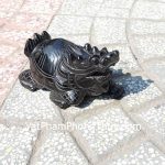 gm072-long-quy-hac-nga-1