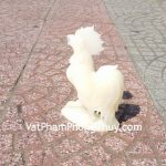 gm109-ga-bach-ngoc-lon-1