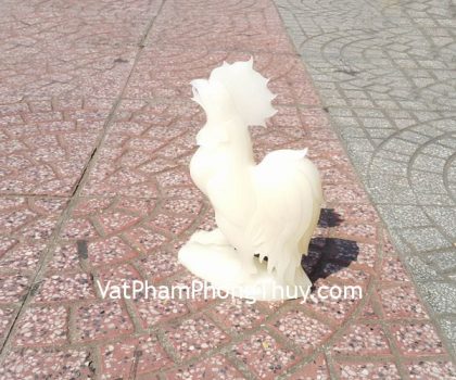 gm109-ga-bach-ngoc-lon-1