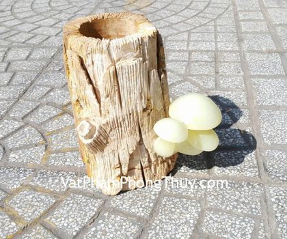 gm112-nam-thanh-ngoc-dung-but-1