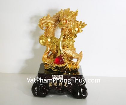 g092a-rong-vang-lon-nha-ngoc