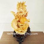 g098a-rong-vang-sanh-y-hung-long-2