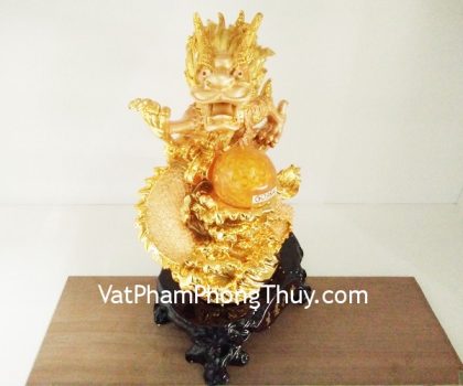 g098a-rong-vang-sanh-y-hung-long-2