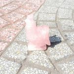 gm140-ga-thach-anh-hong