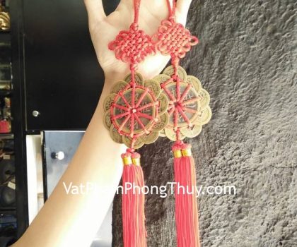 cc2024-hoa-mai-thap-toan-2