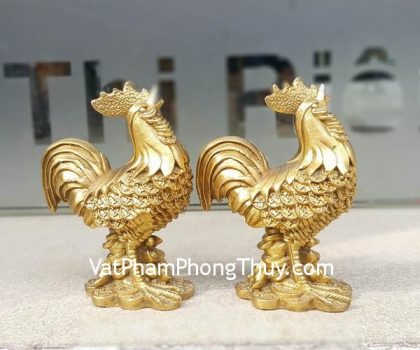 d253-ga-dong-dat-vang