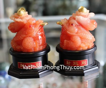 e102-1-coc-cong-cai-2