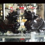 gm008-ty-huu-hac-nga-1