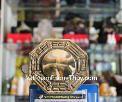 d226-bat-quai-dong-loi-nho-1