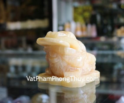 gm022-coc-hoang-long-nho-1