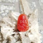 s6337-6-PBM-nhu-lai-dai-nhat-MUI-THAN