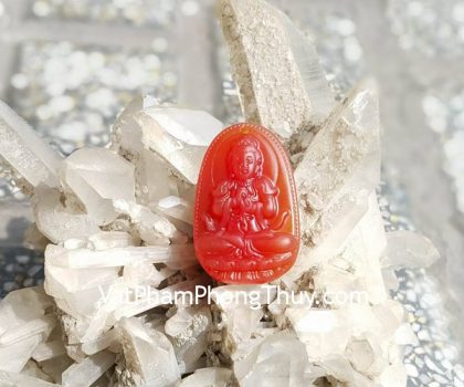 s6337-6-PBM-nhu-lai-dai-nhat-MUI-THAN