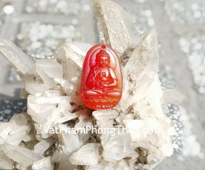 s6337-8-PBM-ma-nao-do-A-di-da-TUAT-HOI