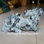 ND115-2-Ty-huu-phi-thuy-3