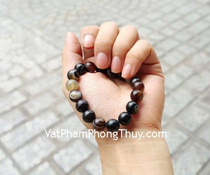 S6461-Chuoi-vo-oc-10-li-1