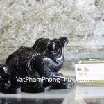 gm155-coc-da-hac-nga-lon