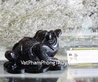 gm155-coc-da-hac-nga-lon