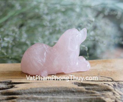 gm170-cho-thach-anh-hong-1