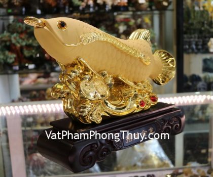 k096m-ca-kim-long-sa-kim-2