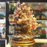 kC063-Cay-tai-lco-phong-thuy-luan-2