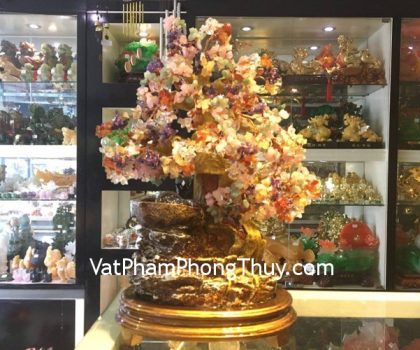 kC063-Cay-tai-lco-phong-thuy-luan-2