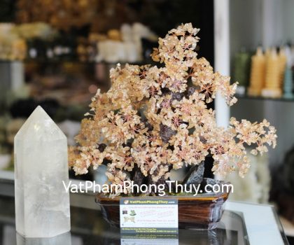 kc068-cay-phao-hoa-thach-anh-vang-2