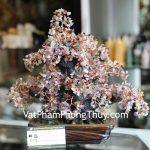 kc069-cay-phao-hoa-thach-anh-nhieu-mau-1