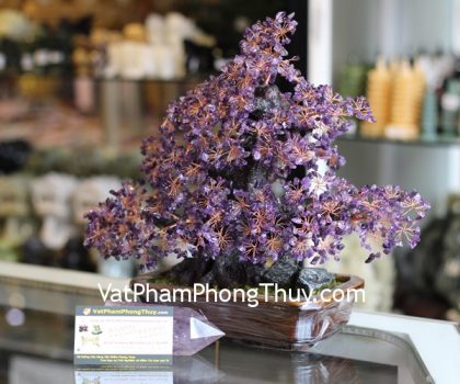 kc070-cay-phao-hoa-thach-anh-tim-2