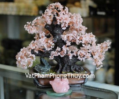 kc071-cay-phao-hoa-thach-anh-hong-1