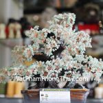 kc072-cay-phao-hoa-thach-anh-dong-linh