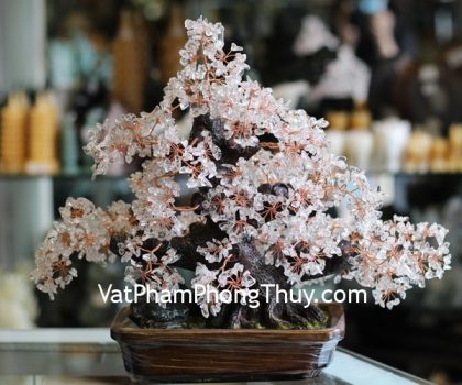 kc073-cay-phao-hoa-thach-anh-trang-1