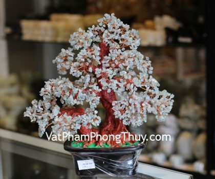 kc074-cay-tai-loc-da-hai-lam-bao