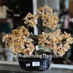 kc076-cay-tai-loc-goc-dep-trung-thach-anh-vang