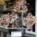 kc077-cay-tai-loc-goc-dep-trung-thach-anh-nhieu-mau-2