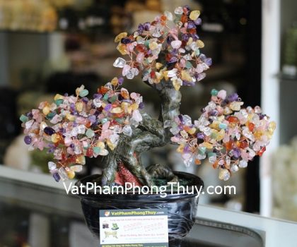 kc077-cay-tai-loc-goc-dep-trung-thach-anh-nhieu-mau-2