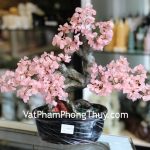 kc078-cay-tai-loc-goc-dep-trung-thach-anh-hong