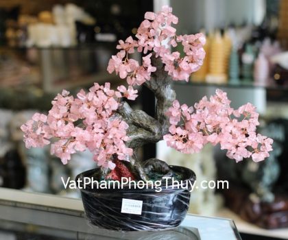 kc078-cay-tai-loc-goc-dep-trung-thach-anh-hong